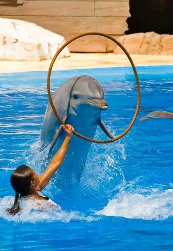 Flickriver: Most interesting photos from Mundomar Benidorm pool