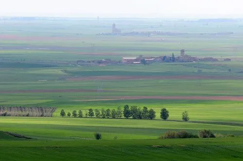 Flickriver: Photos from Baquerín de Campos, Castille and Leon, Spain