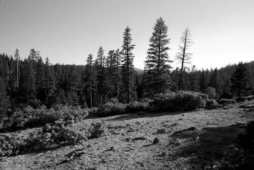 Flickriver: Photoset 'Blanco y Negro, El Dorado National Forest ...