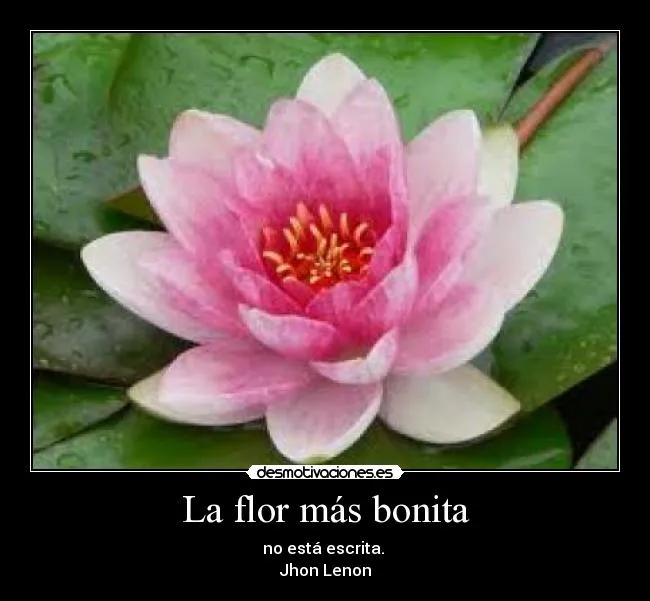 La flor más bonita | Desmotivaciones