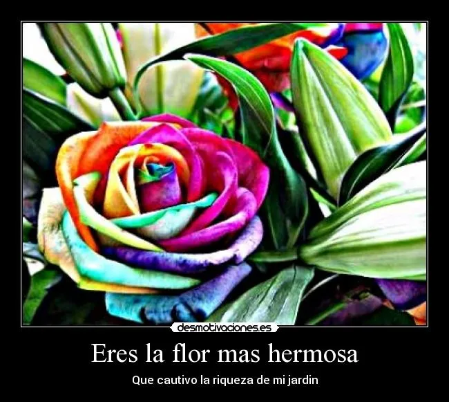 Eres la flor mas hermosa | Desmotivaciones