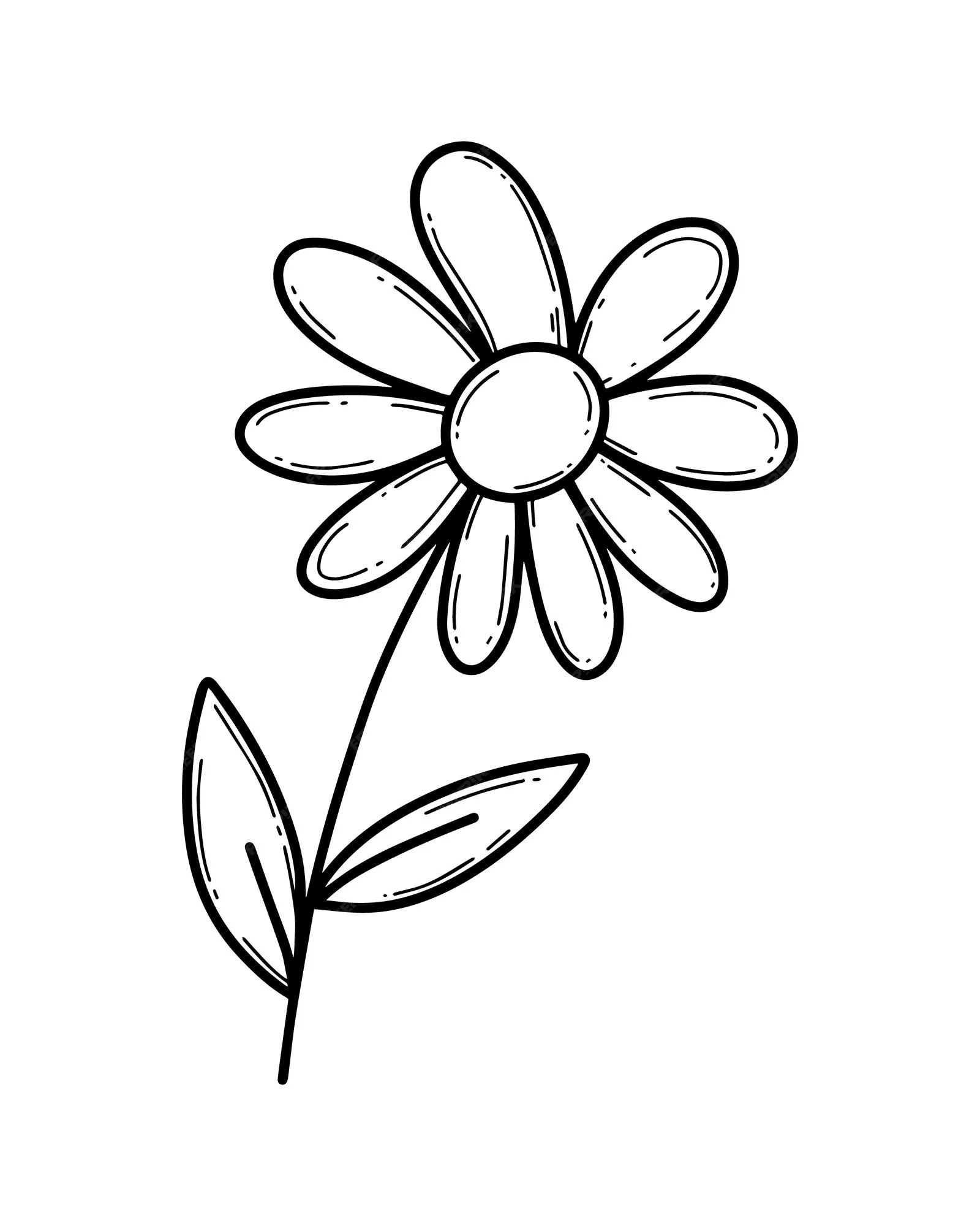 Flor de manzanilla con pétalos en un tronco con hojas planta naturaleza  doodle dibujos animados lineales para colorear | Vector Premium