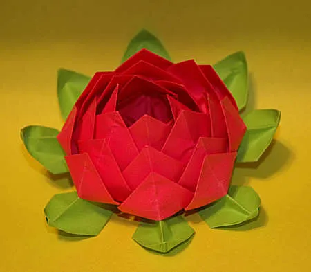 Matemática: Flor de Lotus em Origame