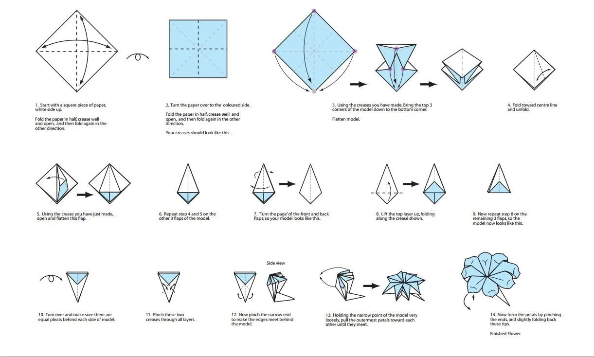 Flor de 8 Petalos | El arte del Origami