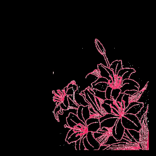 Flor PNG rosa by aiideTheCrazyFanatic on DeviantArt