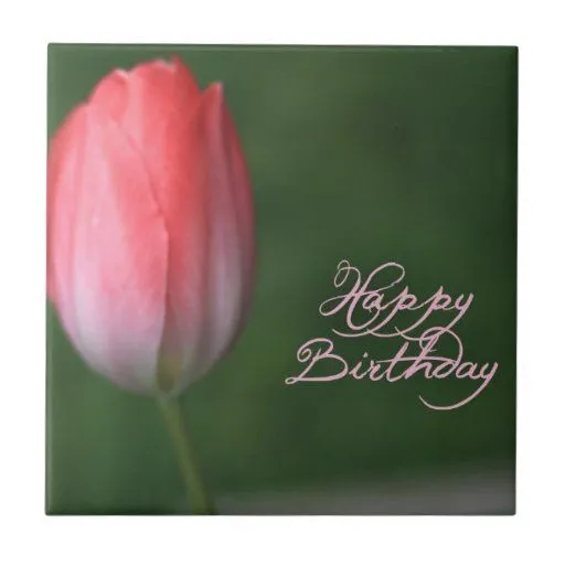 flor roja del tulipán del feliz cumpleaños azulejo ceramica | Zazzle