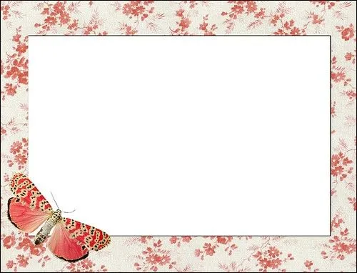 Floral/Butterfly Frame | Flickr - Photo Sharing!