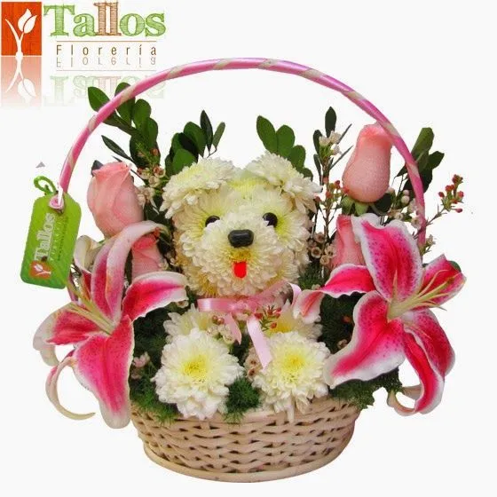 Floreria Emilia Floristeria: Quinta Region Hijuelas-Quillota-La ...