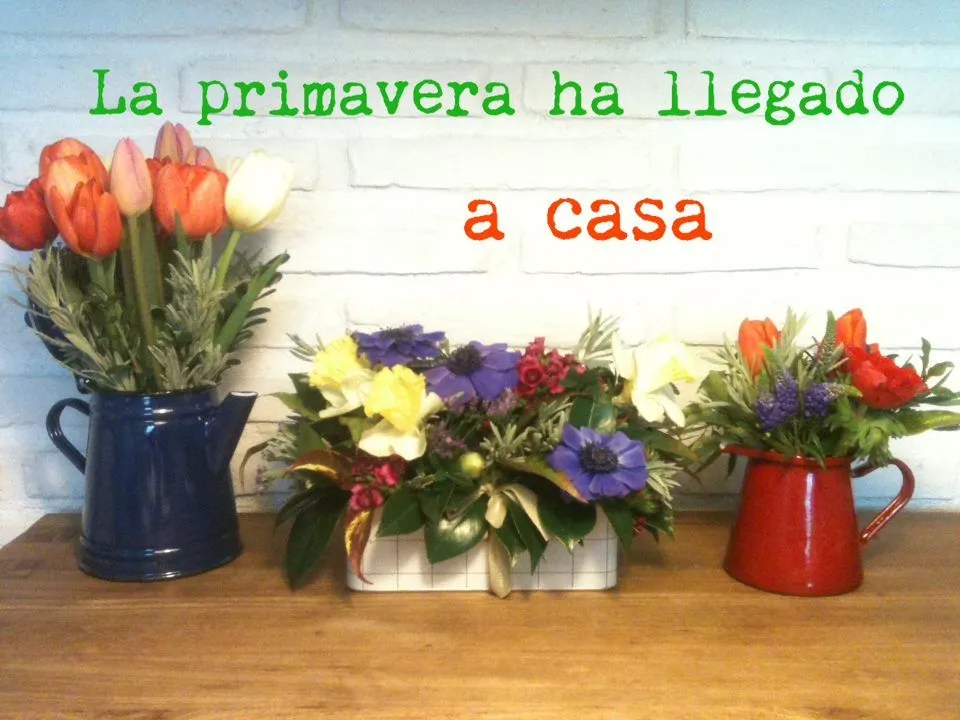 Flores en cafeteras de peltre | el blog de mi burrito | REAL ...