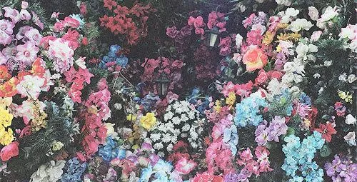 header flores | Tumblr