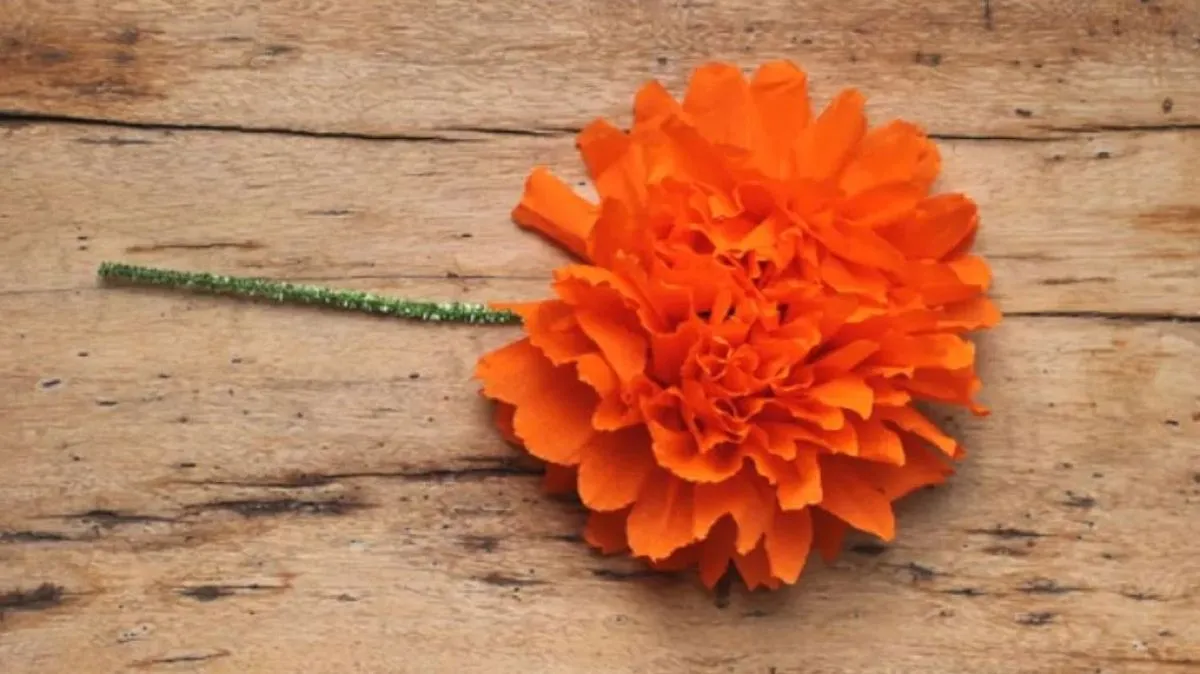 Cómo hacer flores de cempasúchil con papel para decorar la ofrenda