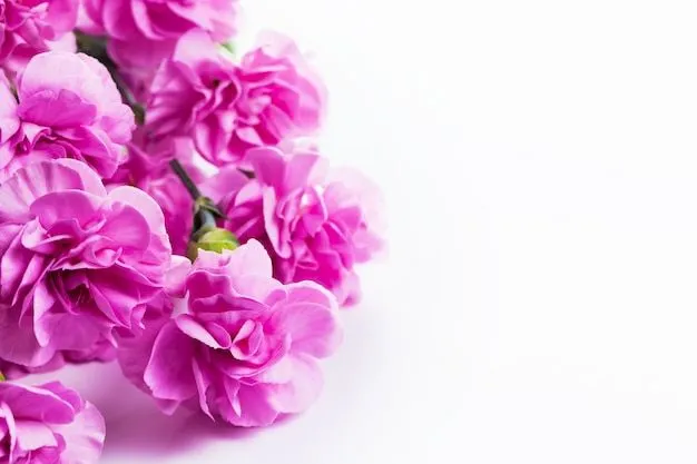 Flores De Color Rosa | Fotos y Vectores gratis