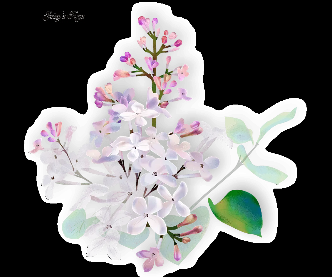 Flores em png - Imagui