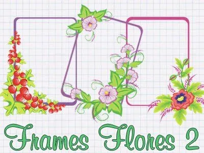 Blog Arte e Foto Montagens: Frames de Flores em PNG