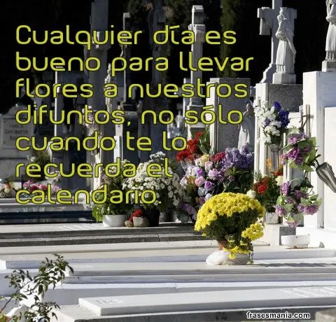 Cualquier día es bueno para llevar flores a .... Frases.