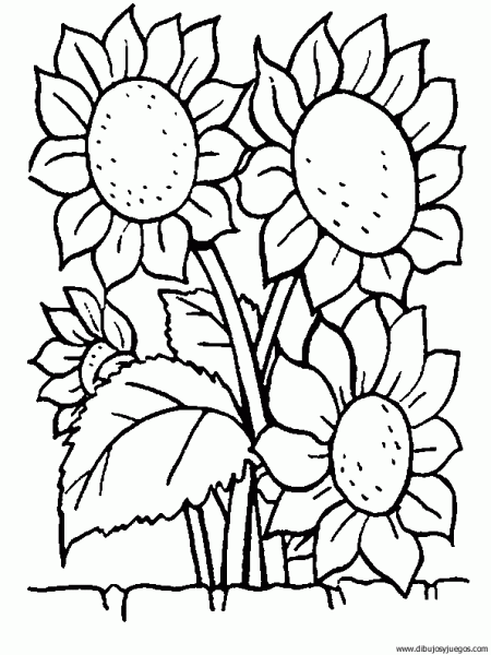 dibujo-flores-girasoles-008 | Dibujos y juegos, para pintar y colorear