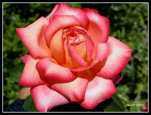 Comentemos aquí los capítulos de Bandolera - Página 2025 - Foro ...