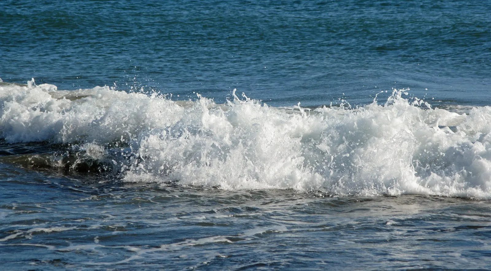 Flores y Palabras: Las olas del mar