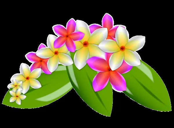 Flores de plumeria Vector imágenes prediseñadas (clip arts ...