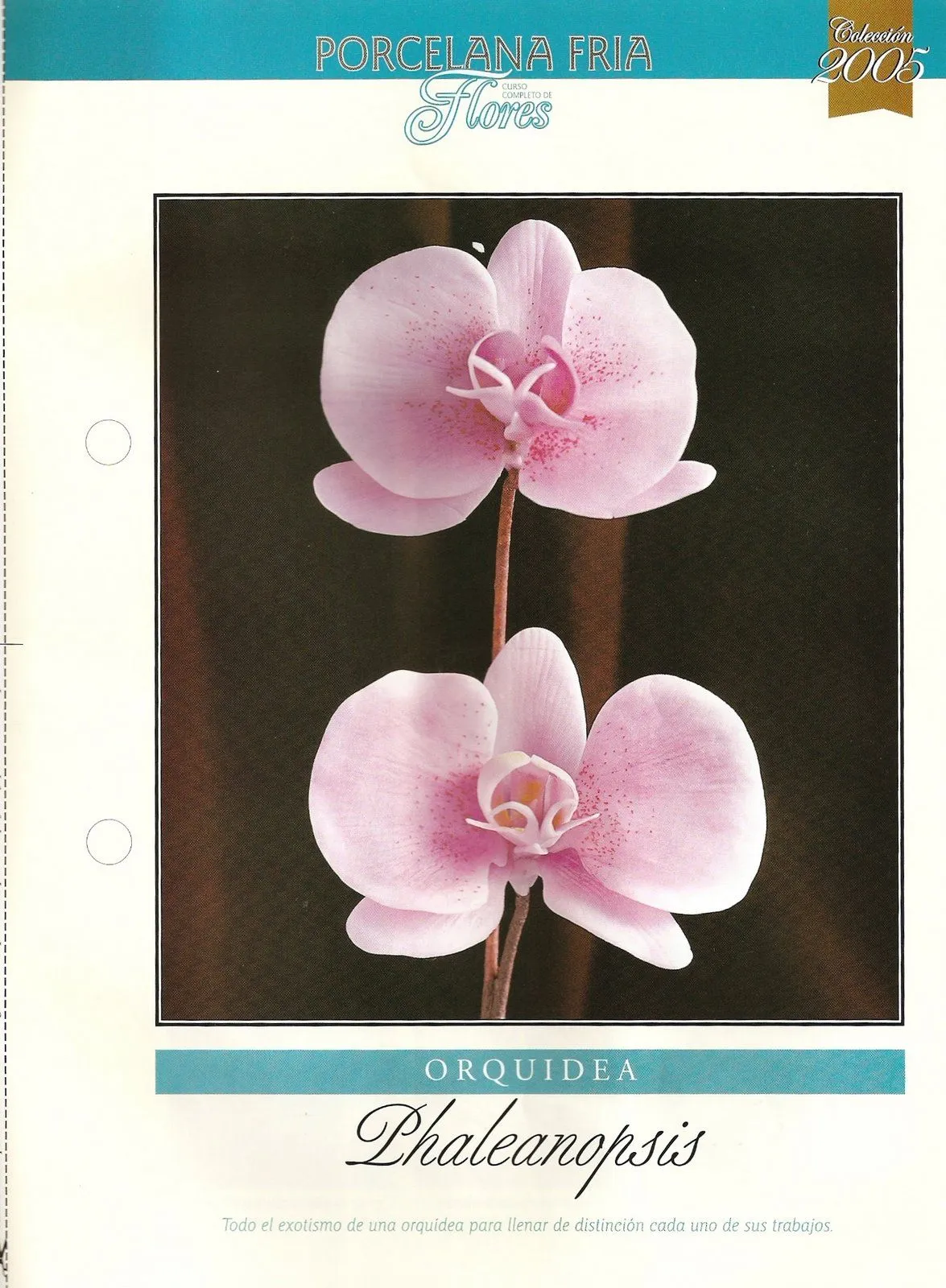 Todo Flores de Porcelana Fria: Paso a Paso orquidea Phaleanopsis 01