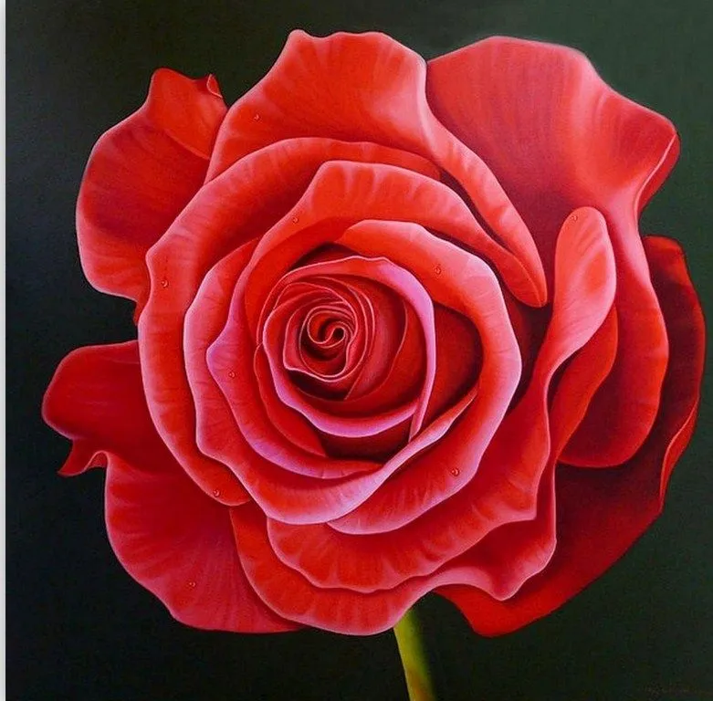 Flores rojas tropicales | El club del arte, pinturas