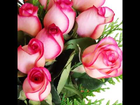 Flores y rosas hermosas - YouTube