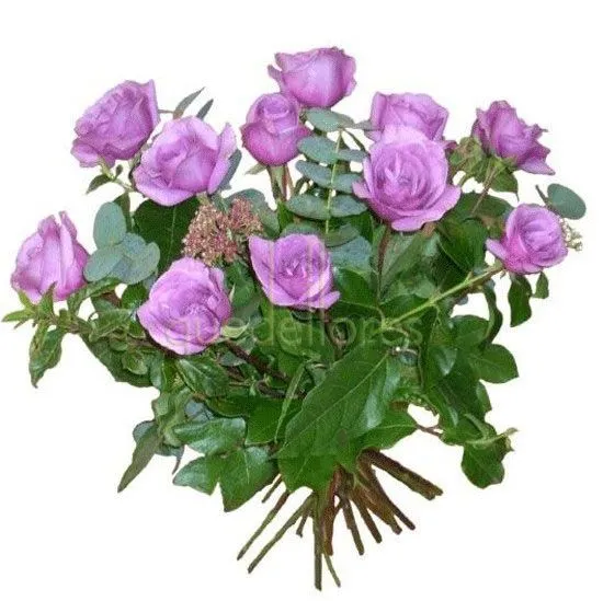 Ramo clasico de rosas moradas - tiendaderosas.com - Especialistas ...