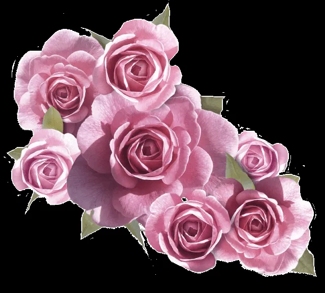 FLORES ROSAS.PNG - Imagui