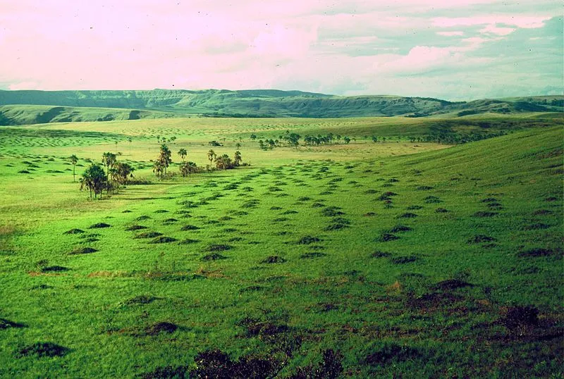 Florilegio: Sabana (