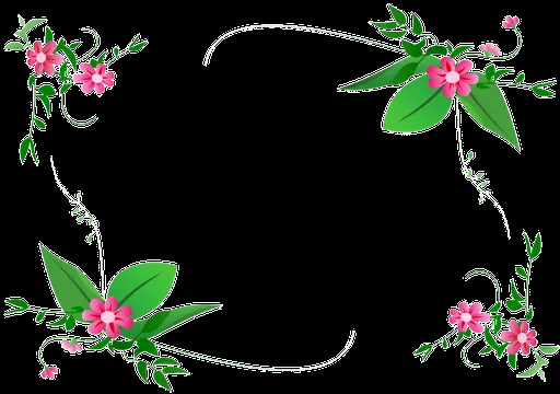 flower-border-vector PNG | imraninfo