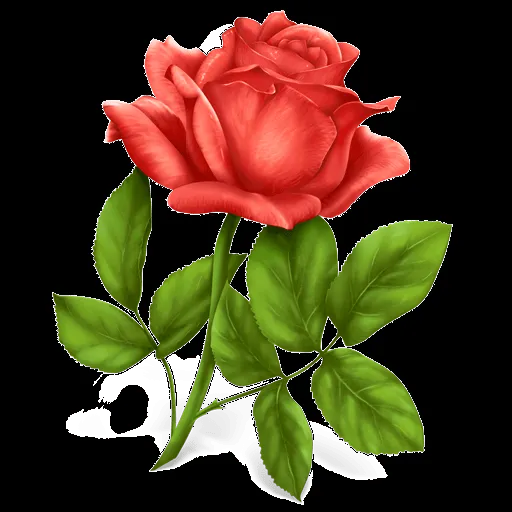 Flower, Plant, Rose icon | Icon Search Engine | Iconfinder