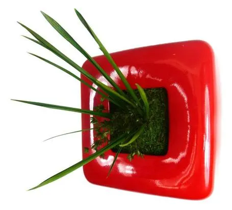 FlowerBox, cuadros de plantas en tus paredes | Muebles ...