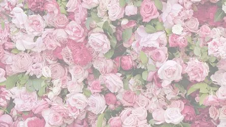 flowers.floral | Tumblr