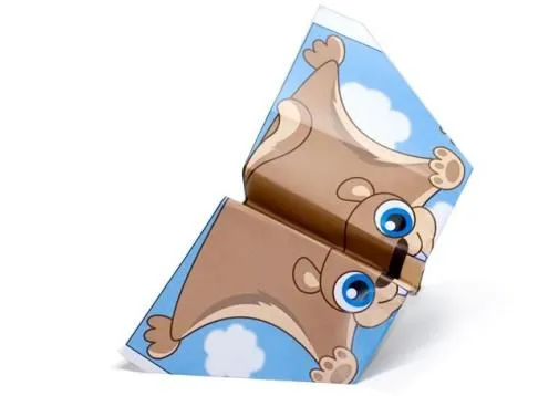 Flying Squirrel Ardilla voladora | VLC peque