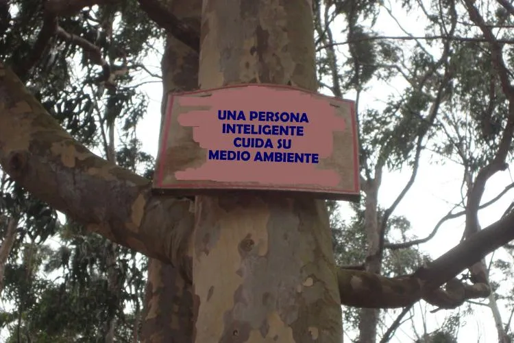 FMF - Foro de Mineralogía Formativa :: Ver tema - Una foto vale ...