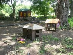 Foco Tonal (Poncitlan Jalisco México) « En el rumbo