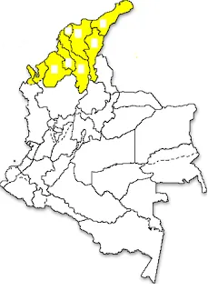 FOLCLOR COLOMBIANO: REGION ATLANTICA