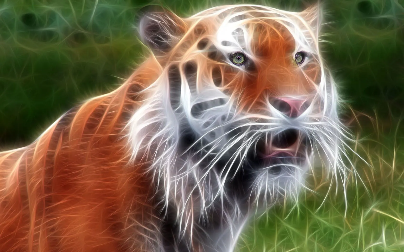 Fond d'ecran Tigre Art - Wallpaper