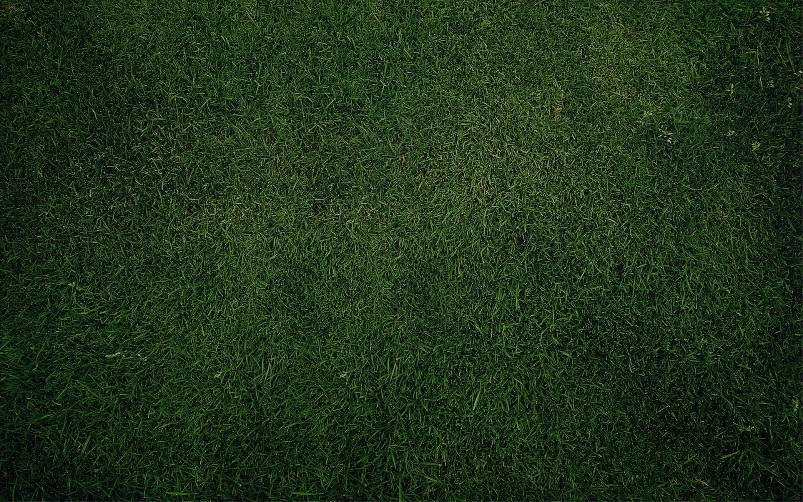 Fondo campo futbol - Imagui