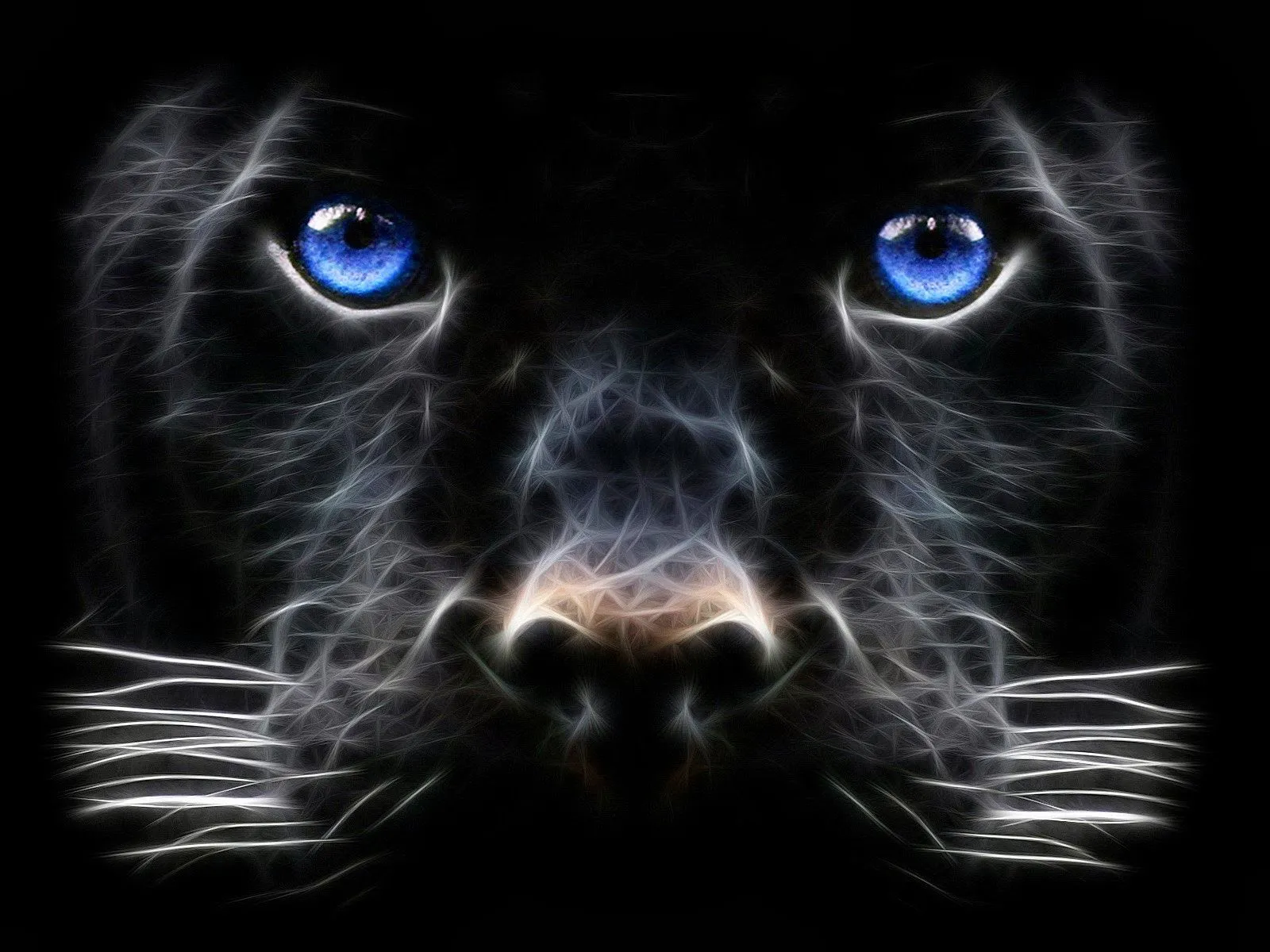 Fondo de Pantalla Animales leopardo negro con los ojos azules ...