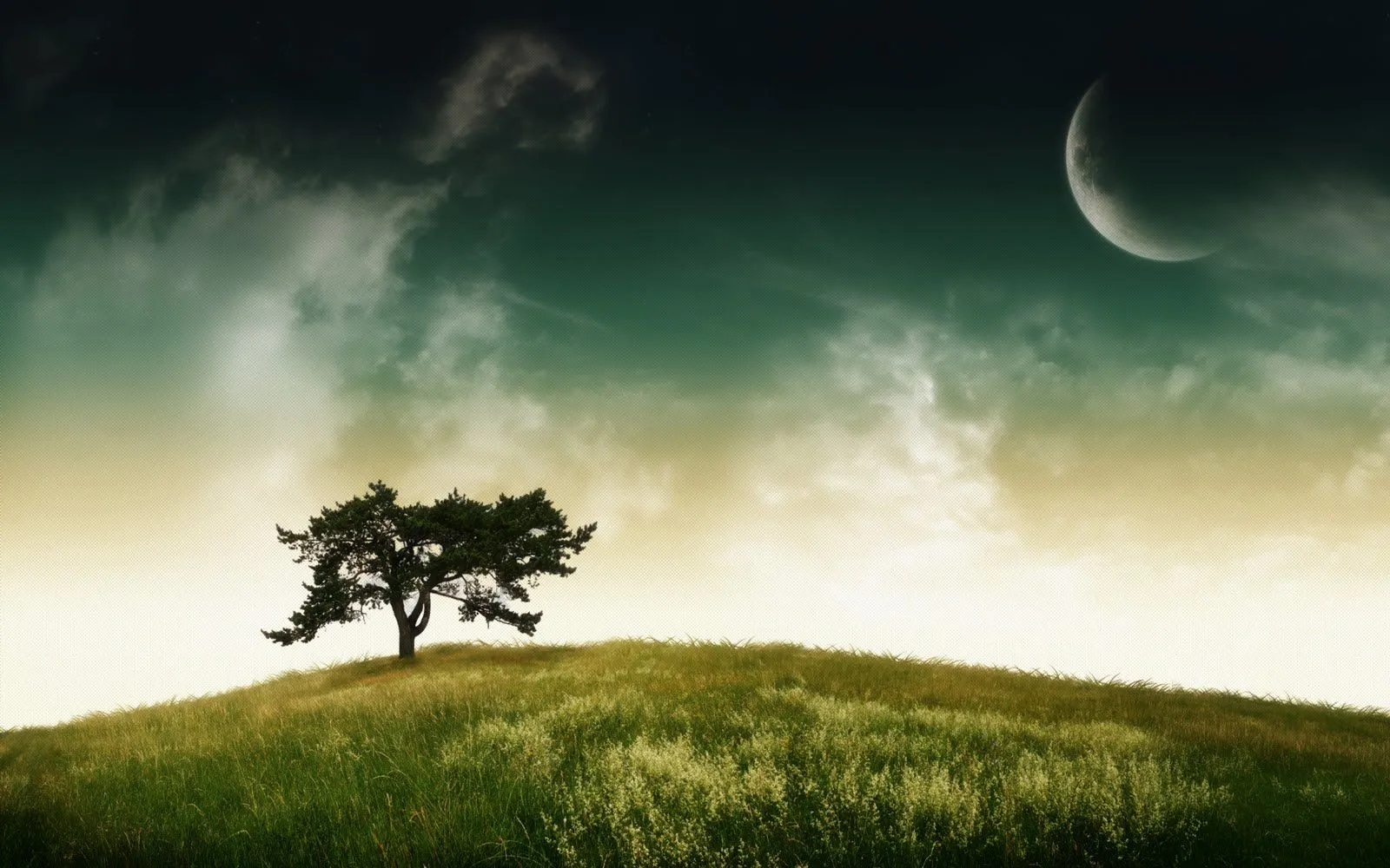 Fondo pantalla HD Arbol y luna