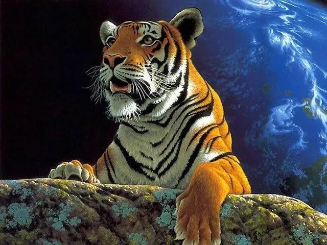 Fondo de pantalla tigres de Bengala - Imagui