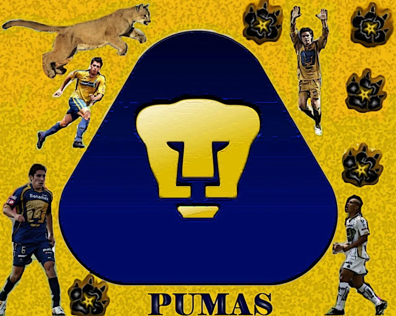 este fondo fue hecho para seguidores pumas como tu adelante copia y ...