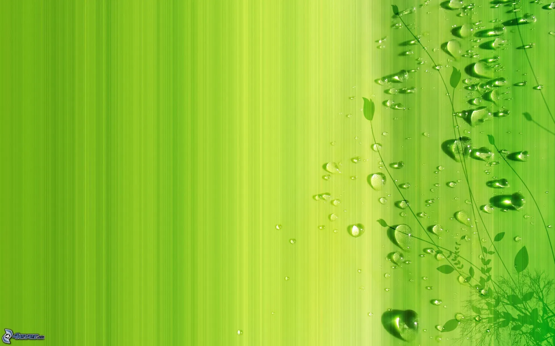 Fondo verde