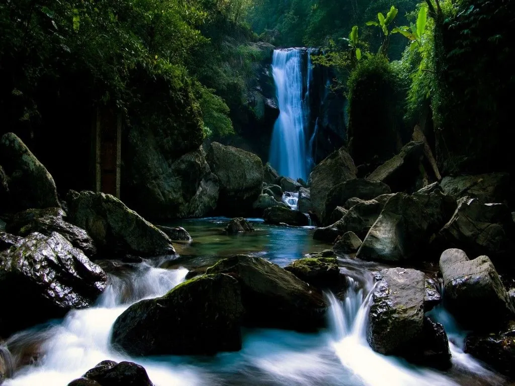 FONDOS COPADOS: cascada en el bosque paisajes