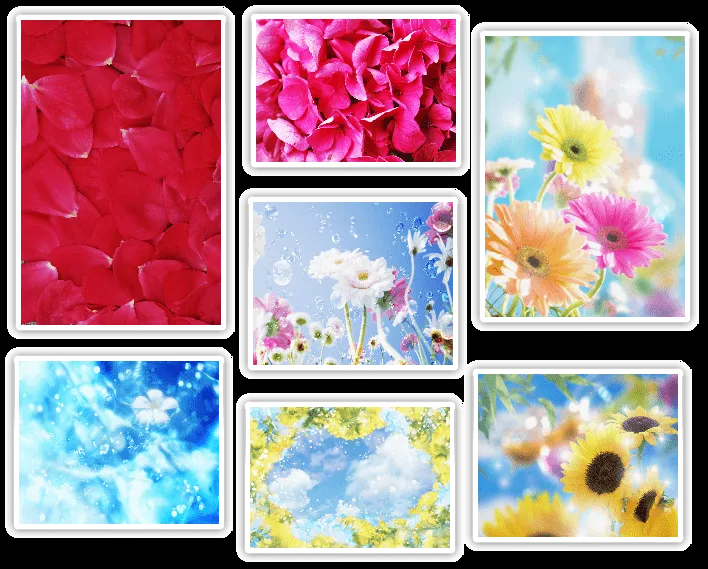 Fondos florales HD - Pack 6 [Zippyshare] | AccionglobalXkiketrucker