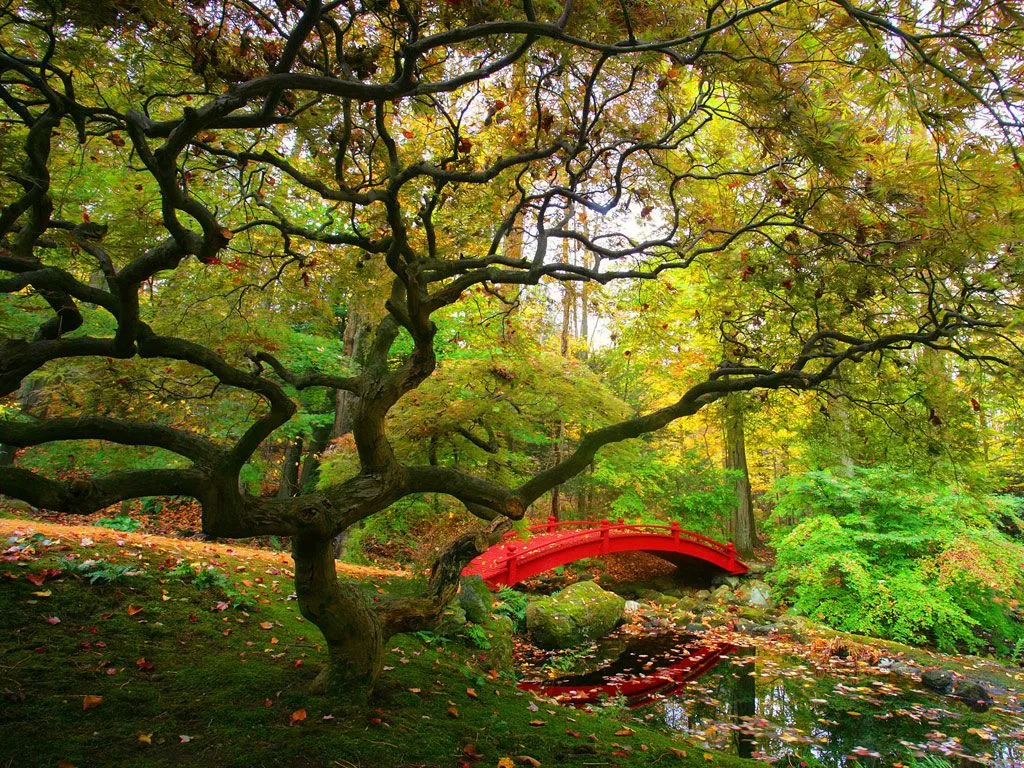 Fondos Gratis - Fondos Naturaleza - Jardines Steinhardt