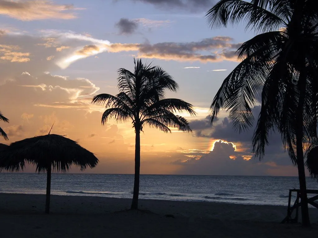 Fondos Gratis - Fondos Paisajes - Atardecer