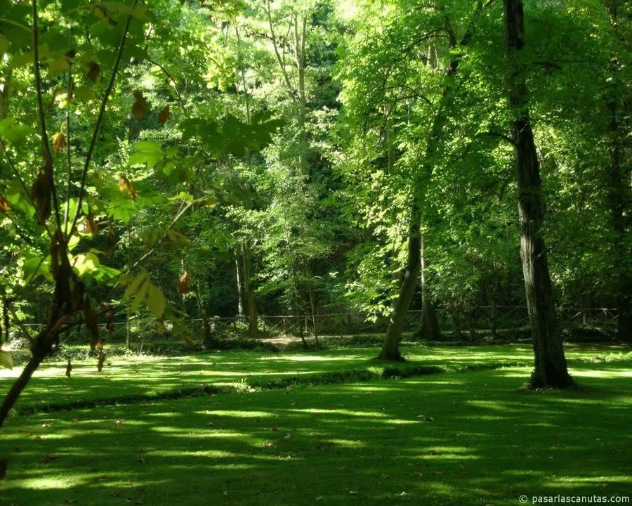 Fondos De Paisajes Naturales Para Fotomontajes