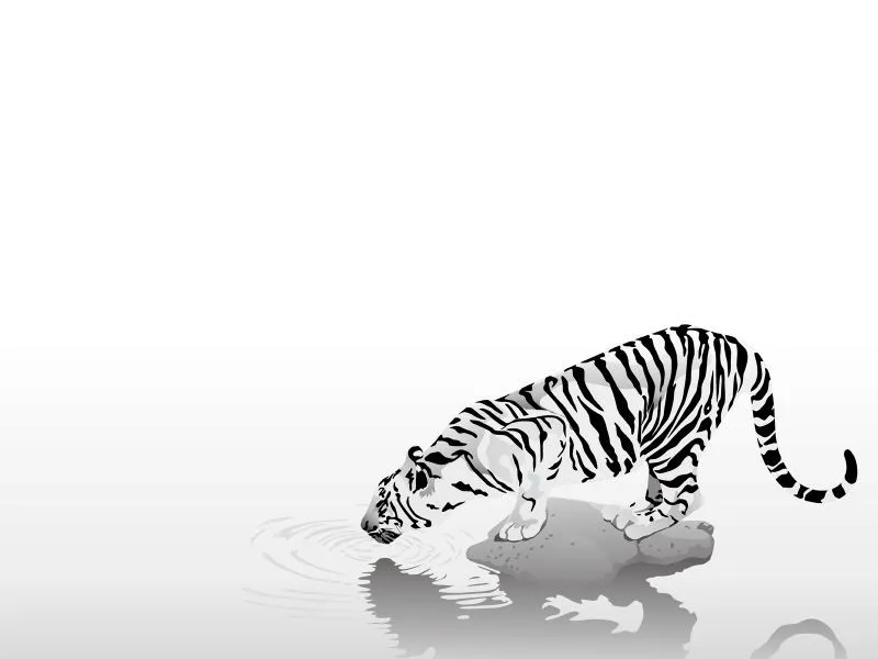 fondos de pantalla de Tigre en 3D. wallpapers de Tigre en 3D